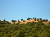 photos of the countryside of Tuscan Maremma